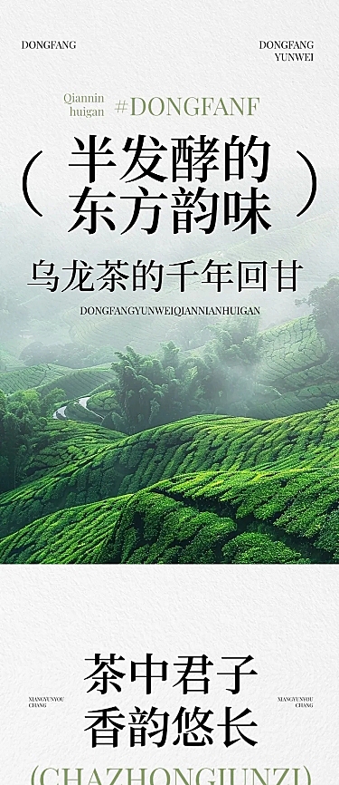 茶叶简约实景排版多画布公众号文章长图