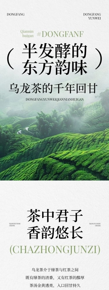 茶叶简约实景排版多画布公众号文章长图