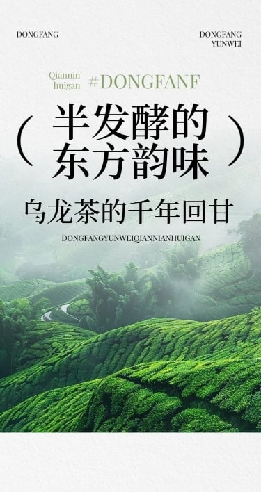 茶叶简约实景排版多画布公众号文章长图