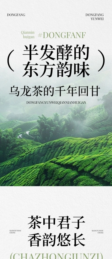 茶叶简约实景排版多画布公众号文章长图