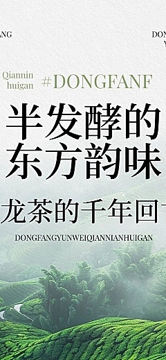 茶叶简约实景排版多画布公众号文章长图