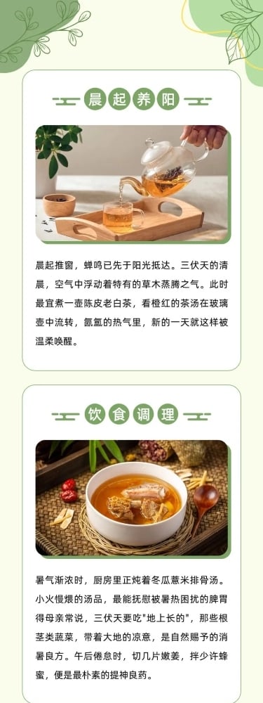 实景养生科普攻略推文排版公众号文章长图