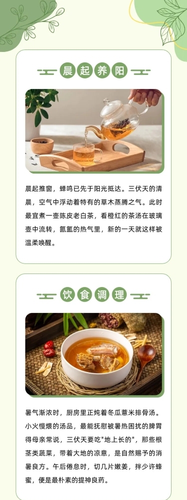 实景养生科普攻略推文排版公众号文章长图