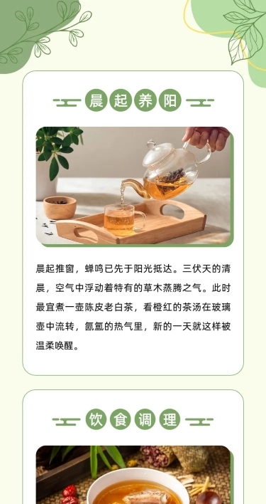 实景养生科普攻略推文排版公众号文章长图