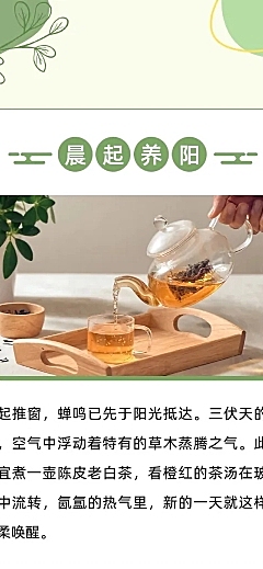 实景养生科普攻略推文排版公众号文章长图