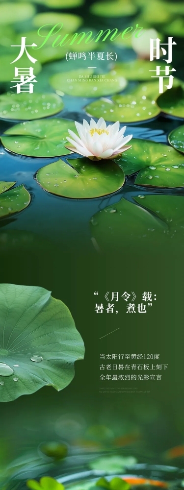 大暑节气科普实景感文艺感文章长图