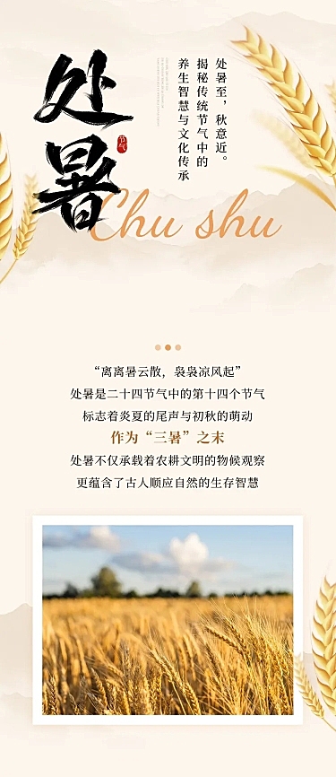 处暑节气科普通用时尚感文章长图AIGC