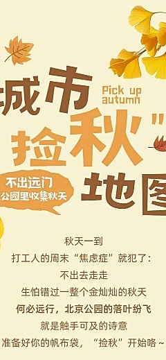 秋季户外活动捡秋攻略文章长图