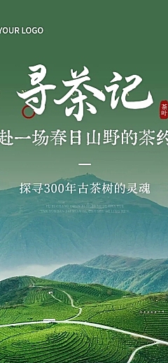 茶叶产品介绍实景排版微信公众号文章长图aigc