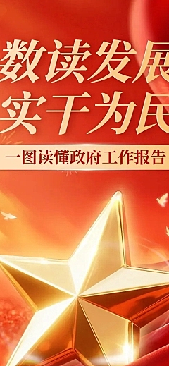 政务组织年度工作总结工作报告文章长图
