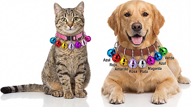 「图片1」以图中的宠物猫狗项圈彩色铃铛挂件为元素,猫猫狗狗的脖子项圈上搭配铃铛,生成5张跟宠物猫狗项圈彩色铃铛挂件有关的图,物体主体特征不变,西班牙语,比例 「16:9」,4k画质