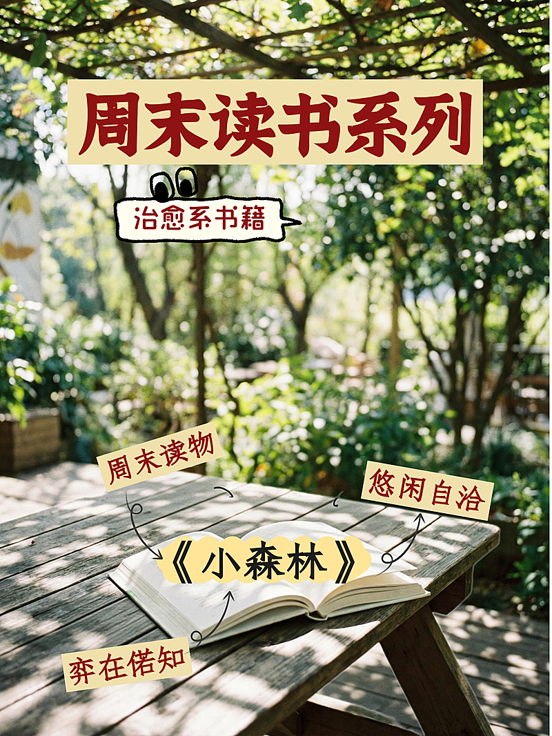 小红书封面：户外阅读时刻