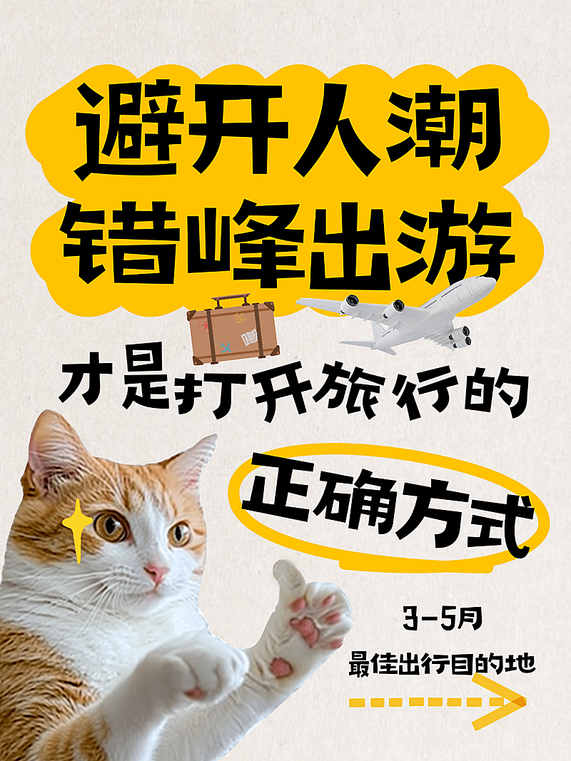 猫咪出行旅游吸睛大字小红书封面