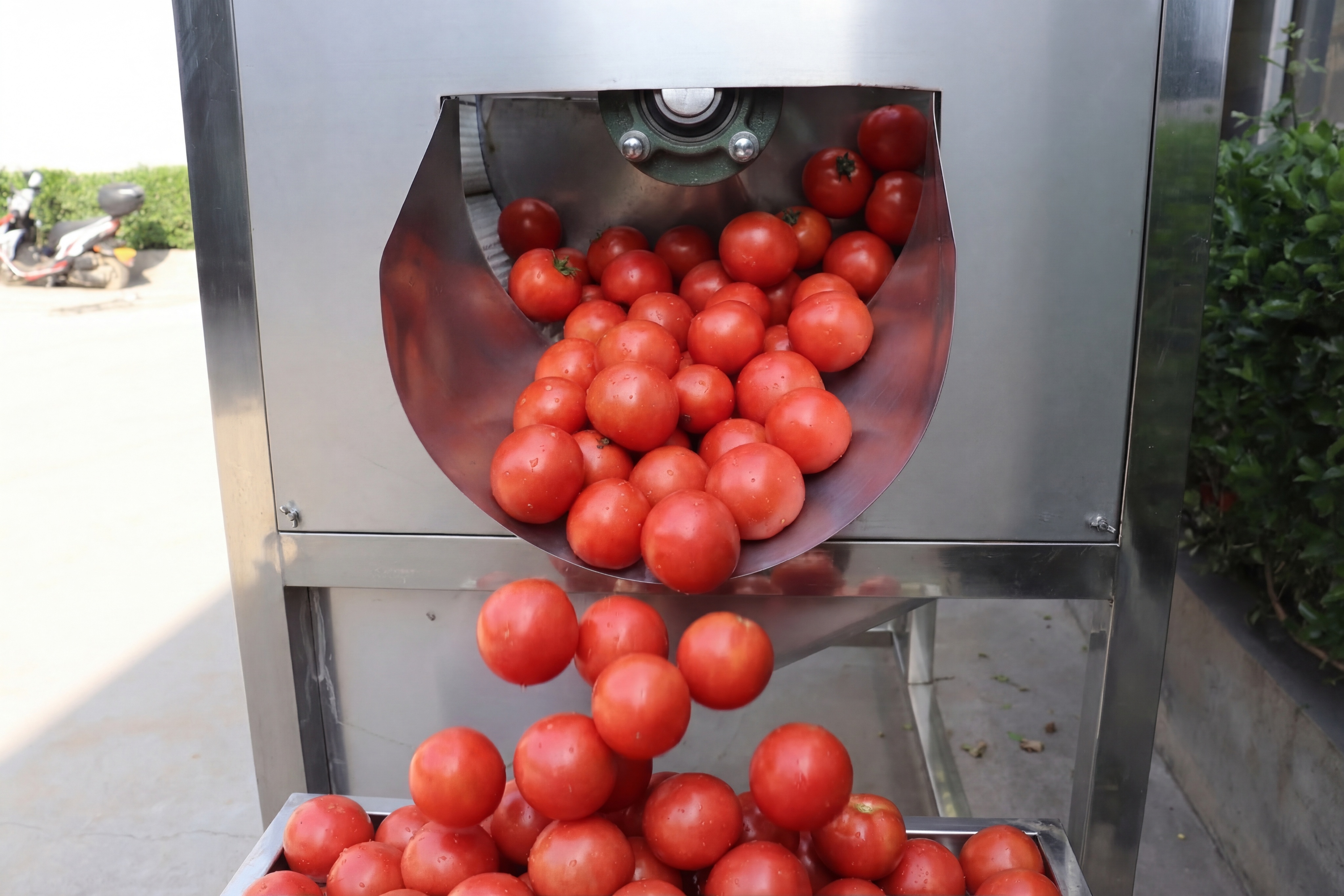 在这台不锈钢果蔬处理设备的出料口位置，添加多颗新鲜成熟的红色番… - 图片创意预览