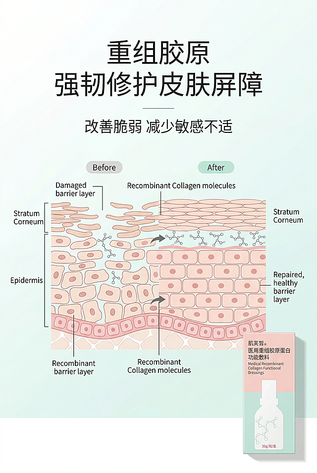 严格还原上传的肌芙皙医用重组胶原蛋白功能敷料产品参考图，精准复刻包装设计、产品配色、LOGO位置及比例、文字内容及字体、图案元素及细节，无任何偏差，色彩无失真；产品与画面中其他物体的比例遵循真实物理空间逻辑，视觉协调，比例还原1:1，杜绝比例失衡、视觉突兀；主标题：“重组胶原 强韧修护皮肤屏障”；副标题：“改善脆弱 减少敏感不适”；主标题上1/5居中；画面为皮肤屏障修护原理示意图，洁净可视化表现，产品小图置于右下角；居中排版，留白35%；白+浅薄荷绿+柔粉色科技色调，柔和柔光；清新轻奢医疗极简风，简约无衬线字体。负面提示词：示意图混乱，颜色花哨，模糊不清，细节丢失，产品变形，比例错误，强光刺眼，阴影生硬，噪点严重，多余人物，土气特效，文字过多，排版拥挤，风格割裂