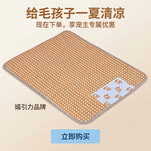 严格还原上传的嬉引力宠物凉席产品图，包括包装设计、颜色、LOGO位置、文字内容、图案元素等所有细节。嬉引力宠物凉席收尾引导页，展示完整产品图，暖棕藤编面加浅蓝卡通面，旁边标注「嬉引力品牌」，下方有醒目的「立即购买」按钮，背景为浅米色渐变，画面顶部居中是主标题「给毛孩子一夏清凉」，主标题下方是副标题「现在下单，享宠主专属优惠」，产品图与购买按钮占满中下部，主标题用加粗无衬线暖棕色字体，按钮用浅蓝配色与卡通面呼应，整体风格简洁有力，高清质感，突出购买引导，光影柔和。禁止修改产品颜色与图案，禁止出现模糊的购买按钮，禁止文字排版杂乱，禁止风格偏离轻奢萌系，禁止出现无关的促销信息，禁止遮挡嬉引力品牌标识。