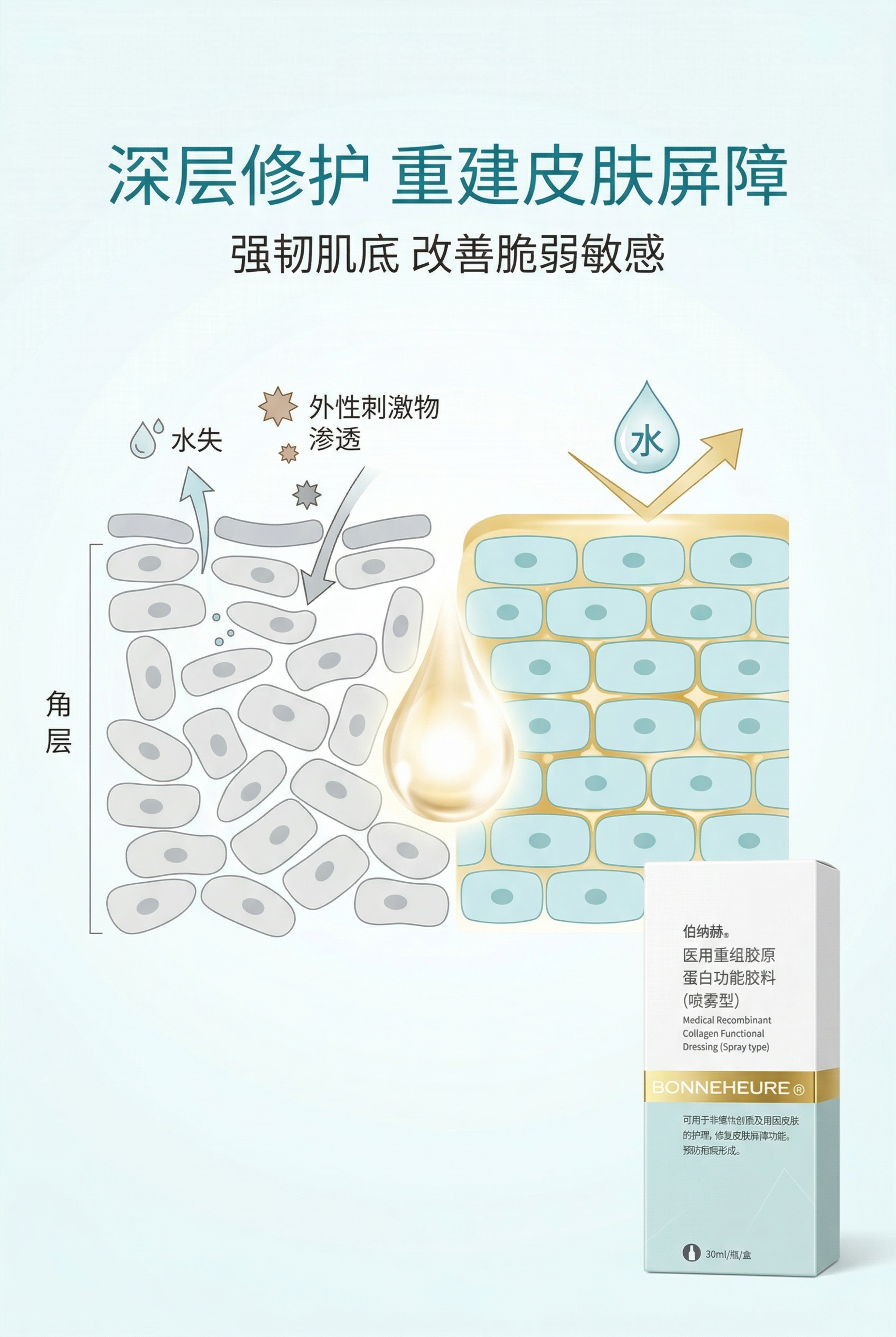 严格还原上传的伯纳赫医用重组胶原蛋白敷料产品参考图，精准复刻包… - 图片创意预览