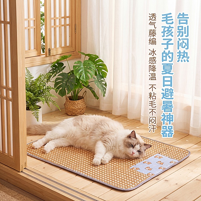 轻奢萌系温馨居家风格，高清商业摄影，暖调柔光加夏日自然光，日式阳台场景，浅木色地板搭配绿植盆栽，布偶猫慵懒趴在藤编凉席垫上，身体舒展、眼神放松，凉席垫平整铺在地板上，藤编纹理清晰，浅蓝卡通包边精致，背景是半开木格窗与白色纱帘，营造夏日清凉惬意氛围，突出宠物凉席的舒适状态，风格统一。画面右侧竖排文字：主标题"告别闷热 毛孩子的夏日避暑神器"（浅天蓝色，粗体圆润字体），副标题"透气藤编 冰感降温 不粘毛不闷汗"（暖米白色，主标题下方，细体优雅字体）。不要遮挡宠物和凉席。