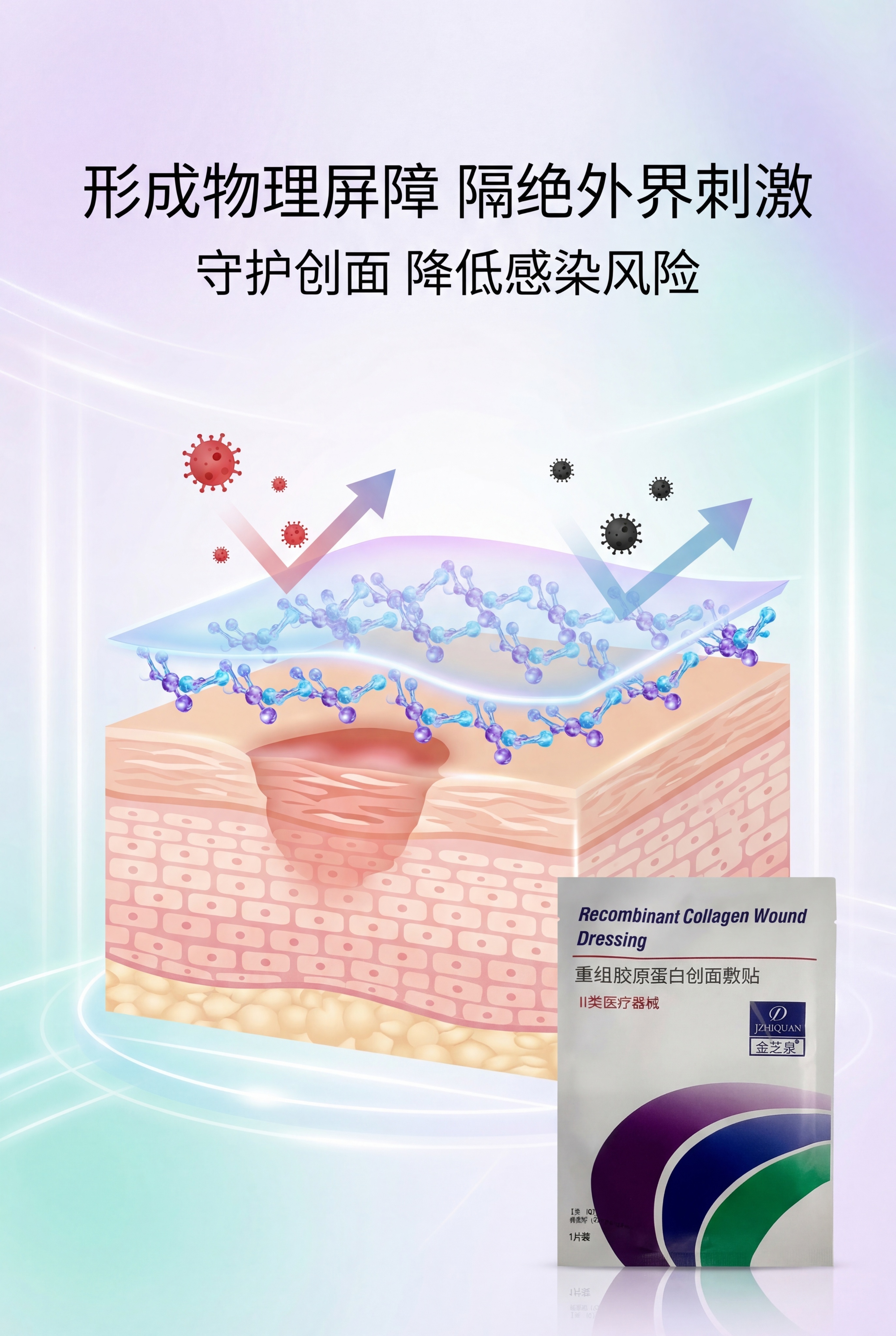 严格还原上传的金芝泉重组胶原蛋白创面敷贴产品参考图，精准复刻包… - 图片创意预览