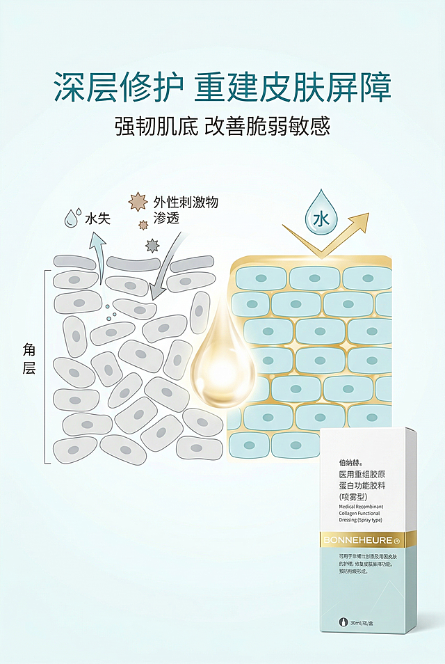 严格还原上传的伯纳赫医用重组胶原蛋白敷料产品参考图，精准复刻包装设计、产品配色、LOGO位置及比例、文字内容及字体、图案元素及细节，无任何偏差，色彩无失真；产品与画面中其他物体的比例遵循真实物理空间逻辑，视觉协调，比例还原1:1，杜绝比例失衡、视觉突兀；主标题：“深层修护 重建皮肤屏障”；副标题：“强韧肌底 改善脆弱敏感”；主标题上1/5居中；画面为皮肤屏障结构修护示意图，洁净可视化表现，产品小图置于右下角；居中排版，留白35%；白+浅青+金科技色调，柔和柔光；轻奢医疗极简风，简约无衬线字体。负面提示词：示意图混乱，颜色花哨，模糊不清，细节丢失，产品变形，比例错误，强光刺眼，阴影生硬，噪点严重，多余人物，土气特效，文字过多，排版拥挤，风格割裂