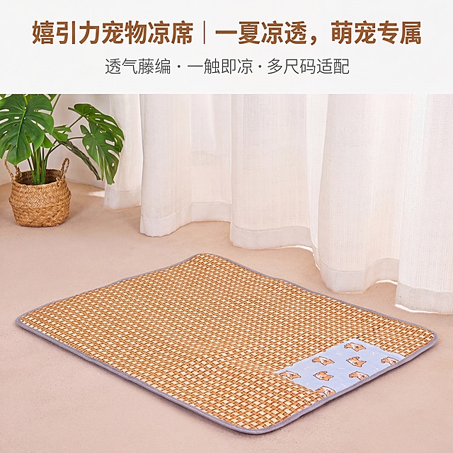 严格还原上传的产品图，包括包装设计、颜色、LOGO位置、文字内容、图案元素等所有细节，嬉引力宠物凉席主视觉展示，暖棕藤编凉感面与浅蓝卡通柯基面拼接呈现，背景为温馨居家客厅，浅米色地面搭配白色纱帘和龟背竹绿植，主标题「嬉引力宠物凉席 | 一夏凉透，萌宠专属」，副标题「透气藤编・一触即凉・多尺码适配」，主标题采用加粗无衬线暖棕色字体居中于画面上半部分，副标题用细体无衬线浅灰色字体紧随其下，产品置于画面下半部分中心，上半部分留白营造高级感，整体风格轻奢萌系温馨居家，高清质感，光影柔和自然，突出产品质感与萌趣氛围，禁止模糊、畸变、色彩偏差，禁止修改产品颜色、卡通图案、灰色包边，禁止出现无关产品，禁止文字排版杂乱，禁止风格与整体萌系温馨割裂，禁止出现嬉引力品牌以外的其他标识