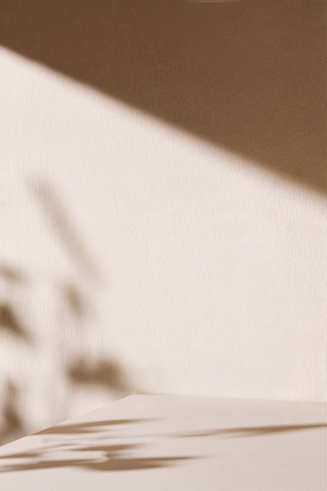 去除画面中的石头和白色花朵，保持原图的浅米色墙面、桌面以及植物阴影效果，整体风格和光影不变，保留干净简约的背景质感