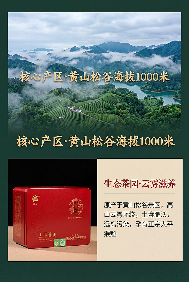 2:3竖屏，高清8K，新中式国风复古风，杂志级精致排版，松谷太平猴魁核心产区展示页，严格还原产品图细节，上半部分为黄山松谷景区实景图，海拔千米云雾茶园青山绿水意境悠远，叠加半透明文字"核心产区·黄山松谷海拔1000米"烫金书法体加粗居中，下半部分左侧为铁罐装茶叶特写，罐体烫金LOGO清晰质感十足，右侧为文字排版，副标题"生态茶园·云雾滋养"宋体红色，正文"原产于黄山松谷景区，高山云雾环绕，土壤肥沃，远离污染，孕育正宗太平猴魁"黑体浅灰色，整体色调以深绿色、米黄色为主，搭配正红点缀，画面虚实结合，卖点可视化，排版对称精致，凸显产区优势，无多余杂物，避免茶园场景不真实、海拔信息错误、产品特写模糊、包装细节缺失、色彩暗沉、排版杂乱、卖点不突出、无国风意境