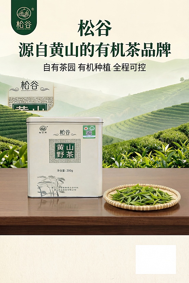 品牌风新中式杂志级品牌故事排版，比例2:3竖版，主标题"松谷 源自黄山的有机茶品牌"，副标题"自有茶园 有机种植 全程可控"。画面上半部分为松谷自有茶园实拍全景，下半部分展示品牌LOGO+松谷黄山野茶产品罐，主标题叠加在画面上方，副标题在下方，左右留白，大气自然，品牌感拉满。严格还原产品包装设计、颜色、LOGO位置、文字内容、图案元素，产品比例1:1真实协调，8K超高清，光影柔和，主色调深绿+米白；茶园场景真实，产品细节完整，字体采用思源黑体，层级分明。避免场景模糊、产品变形、比例失调、字体混乱、配色突兀、低清、水印、多余元素、光影刺眼