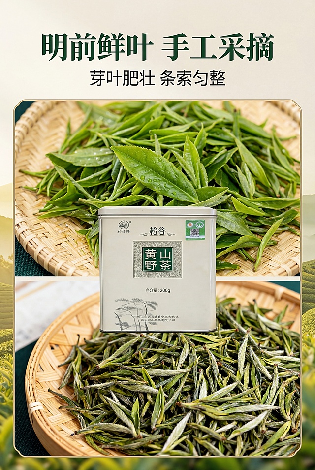 微距摄影级杂志级食材特写排版，比例2:3竖版，上下为标题区，主标题"明前鲜叶 手工采摘"，副标题"芽叶肥壮 条索匀整"。中间采用上下分栏布局，上栏为竹盘鲜叶微距特写，下栏为干茶条索特写，两栏中间嵌入松谷黄山野茶产品罐作为视觉衔接，细节拉满，视觉冲击强。严格还原产品包装设计、颜色、LOGO位置、文字内容、图案元素，产品比例1:1真实协调，8K高清，光影通透，主色调深绿+米白；鲜叶翠绿鲜活、干茶条索清晰，产品细节完整，字体采用思源黑体，层级分明。避免鲜叶干茶模糊、变形、产品细节丢失、字体混乱、配色突兀、低清、水印、多余元素、光影刺眼