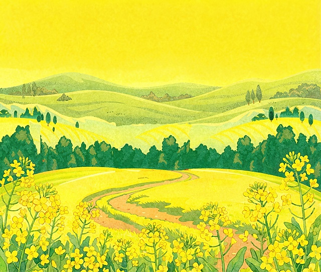将前景的麦穗替换为油菜花，保持手绘插画风格，和整体画面风格统一，保留现有的金黄色天空和绿色山坡背景不变