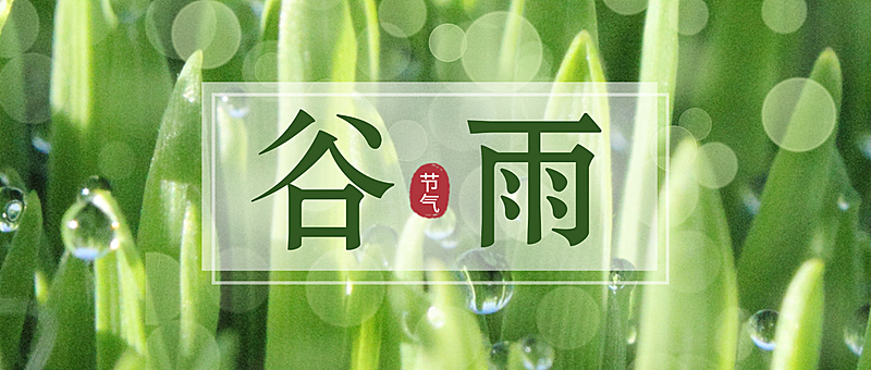 企业公司谷雨节气祝福通用公众号首图