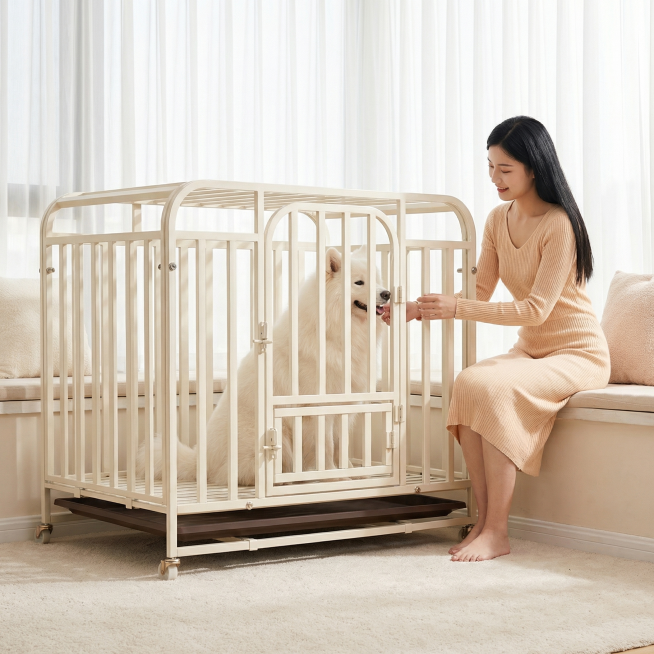 奶白色金属狗笼占据画面60%核心区域，保持物理结构绝对不变，放置在卧室飘窗边地毯上，背景是白色纱帘，清新明亮氛围，狗笼里面坐着一只成年萨摩耶，全新美女坐在飘窗垫上逗狗，美女留黑长直，穿搭浅杏色针织裙，预览效果