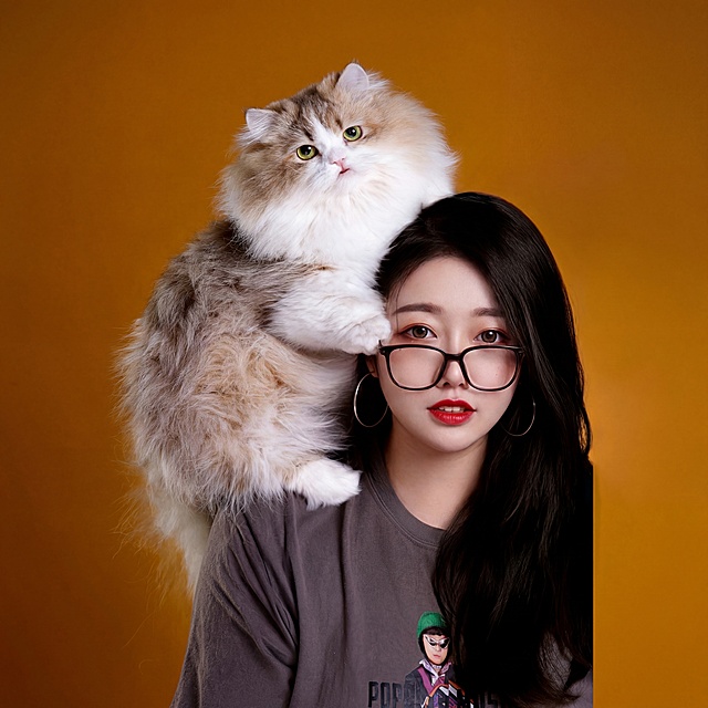 将第一张图中女士的脸部和第二张图中女士的脸部互换，保持发型、服装、猫咪以及背景不变，光影自然融合