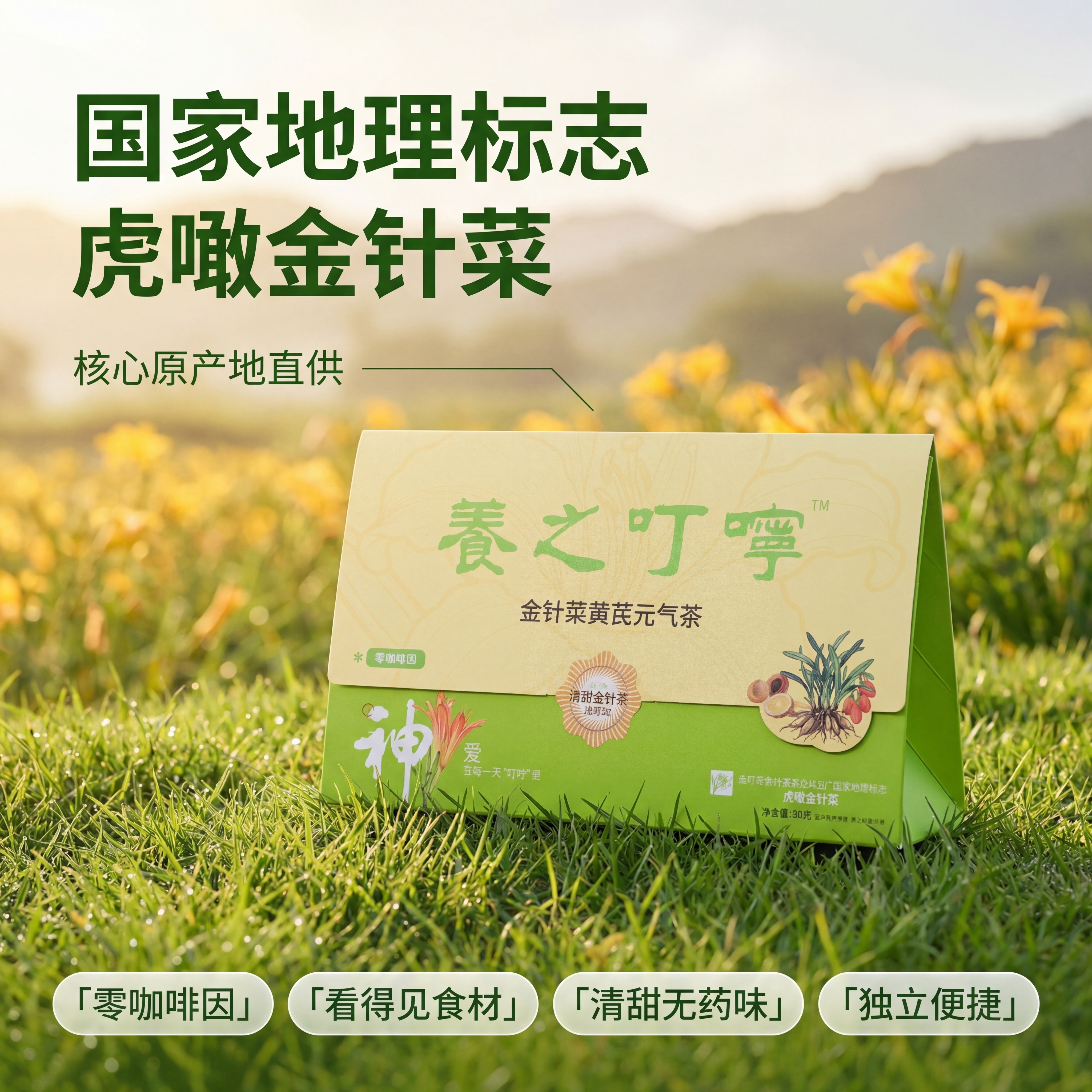 [主图 2] 金针菜黄芪元气茶核心产地溯源 [氛围/风格] 轻… - 图片创意预览