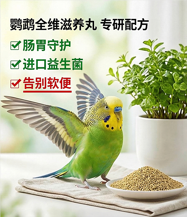 在图片左侧添加文案，竖向列表排版：
1. 中等大小标题：鹦鹉全维滋养丸 专研配方
2. 卖点列表：
✅ 肠胃守护（绿色文字）
✅ 进口益生菌（绿色文字）
✅ 告别软便（红色文字，用红色粗下划线标注突出）
保留原图右侧的虎皮鹦鹉、滋养丸和绿植内容，整体保持清新自然的商品主图风格