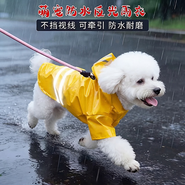 将图片中的红色雨衣修改成参考图里一样明亮的黄色，保持狗狗、雨天场景、文字和其他部分不变，生成高清图片