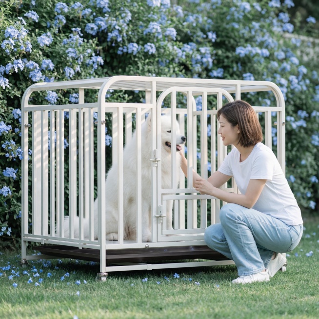 主体突出奶白色金属狗笼，狗笼放置在画面中心，保持物理结构绝对不变，放置在家庭庭院蓝雪花花墙前，绿色草坪，浅景深突出狗笼主体，小清新清凉氛围，狗笼里面坐着一只成年萨摩耶，一位灵动东亚短发美女蹲在狗笼旁逗预览效果