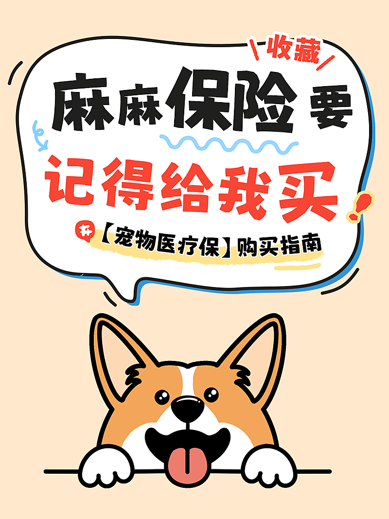 宠物医疗保险购买指南小红书封面