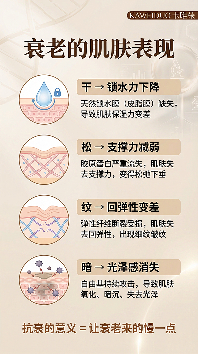 将原图重新设计为一张9:16竖版的护肤抗衰品牌海报，保留标题'衰老的肌肤表现'、品牌logo'KAWEIDUO卡唯朵'、底部文字'抗衰的意义 = 让衰老来的慢一点'，保留干松纹暗四个要点的全部文字描述，为每个要点添加对应的示意插图，整体风格简约高级，有医美护肤品牌调性，画面清晰干净，信息排版层次分明