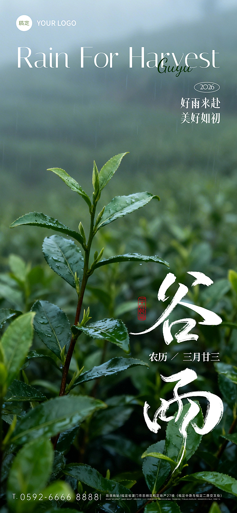 谷雨节日祝福实景通用全屏竖版海报