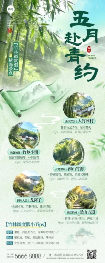 旅游出行景点景区踏青户外竹林路线长图海报预览效果