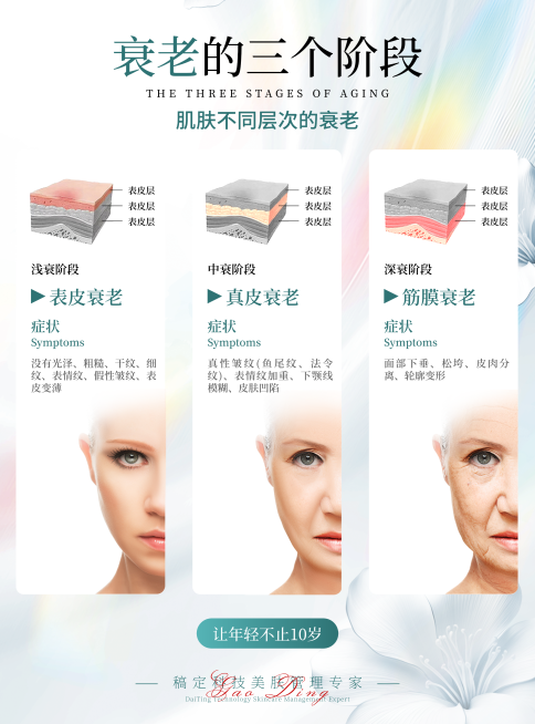 医美美容衰老的三个阶段知识科普竖版海报预览效果