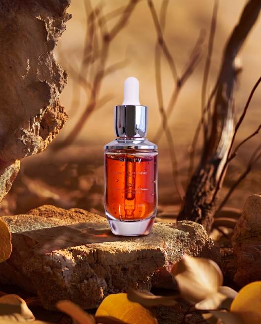 移除图片顶部的两行白色英文文字"TWO-THREE DESIGN"和"PRODUCT PHOTOGRAPHY"，用与周围一致的暖棕色模糊干枯背景填充文字区域，保持整个场景的光影、色调和其他元素完全不变预览效果