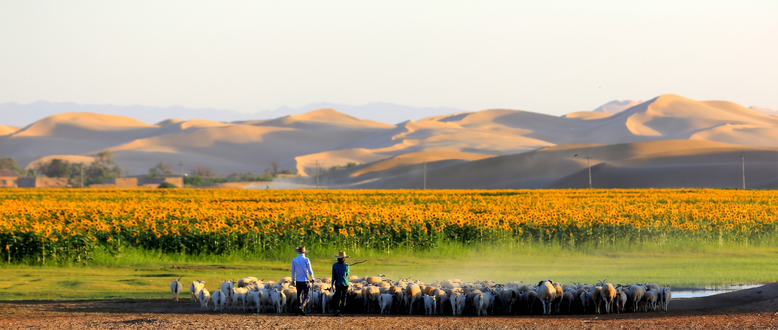 将图片调整为4K高清画质，提升清晰度和细节，适合3米长的灯箱展示，保留原有画面内容和构图预览效果