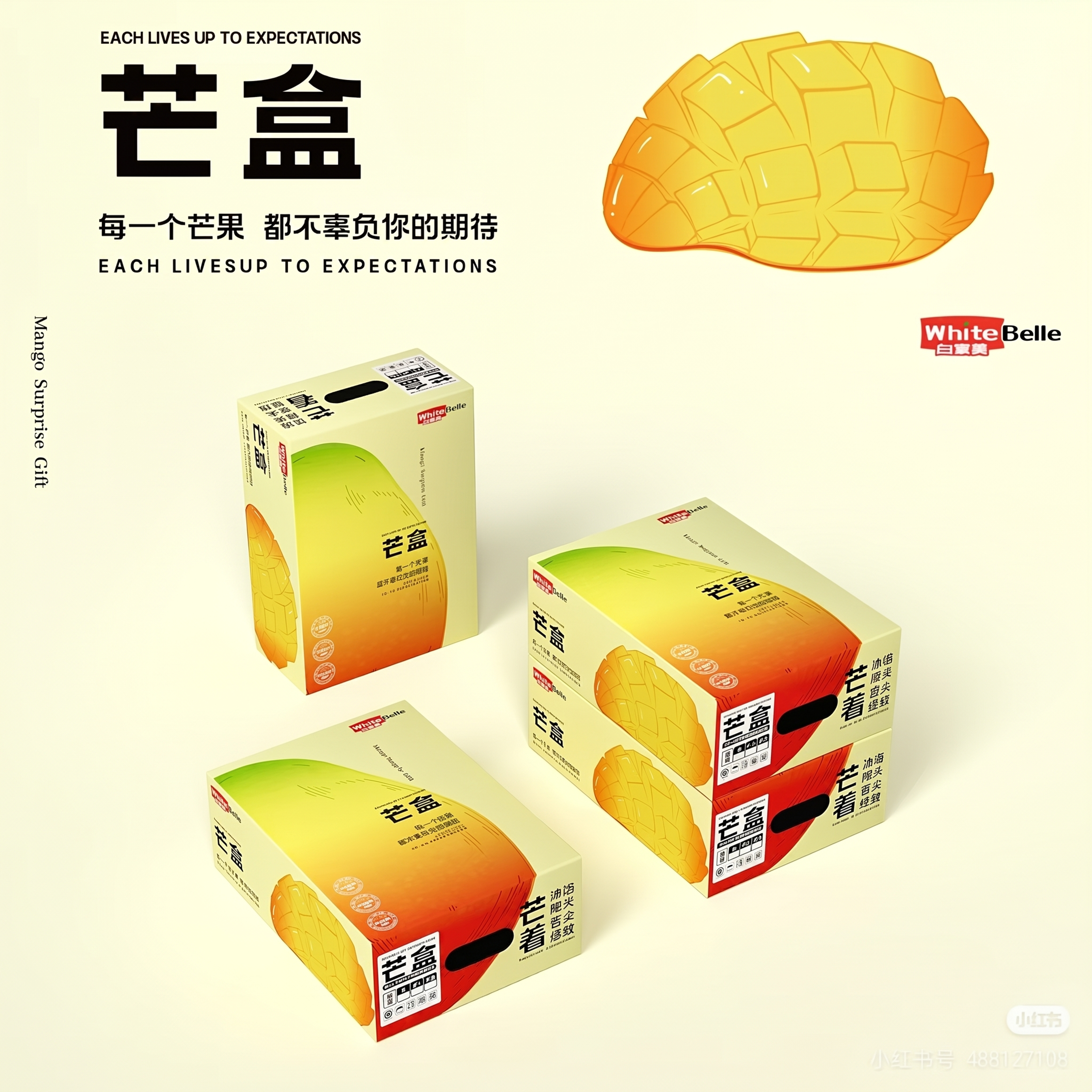 参考提供的包装设计图，生成一个芒果插画，用于包装设计，风格简约… - 图片创意预览