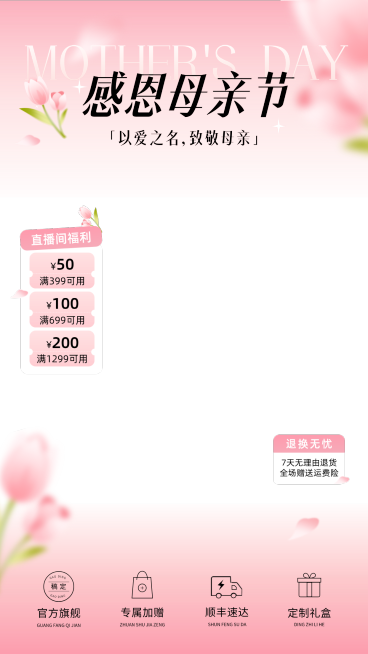 母亲节促销活动电商零售直播贴片组合预览效果