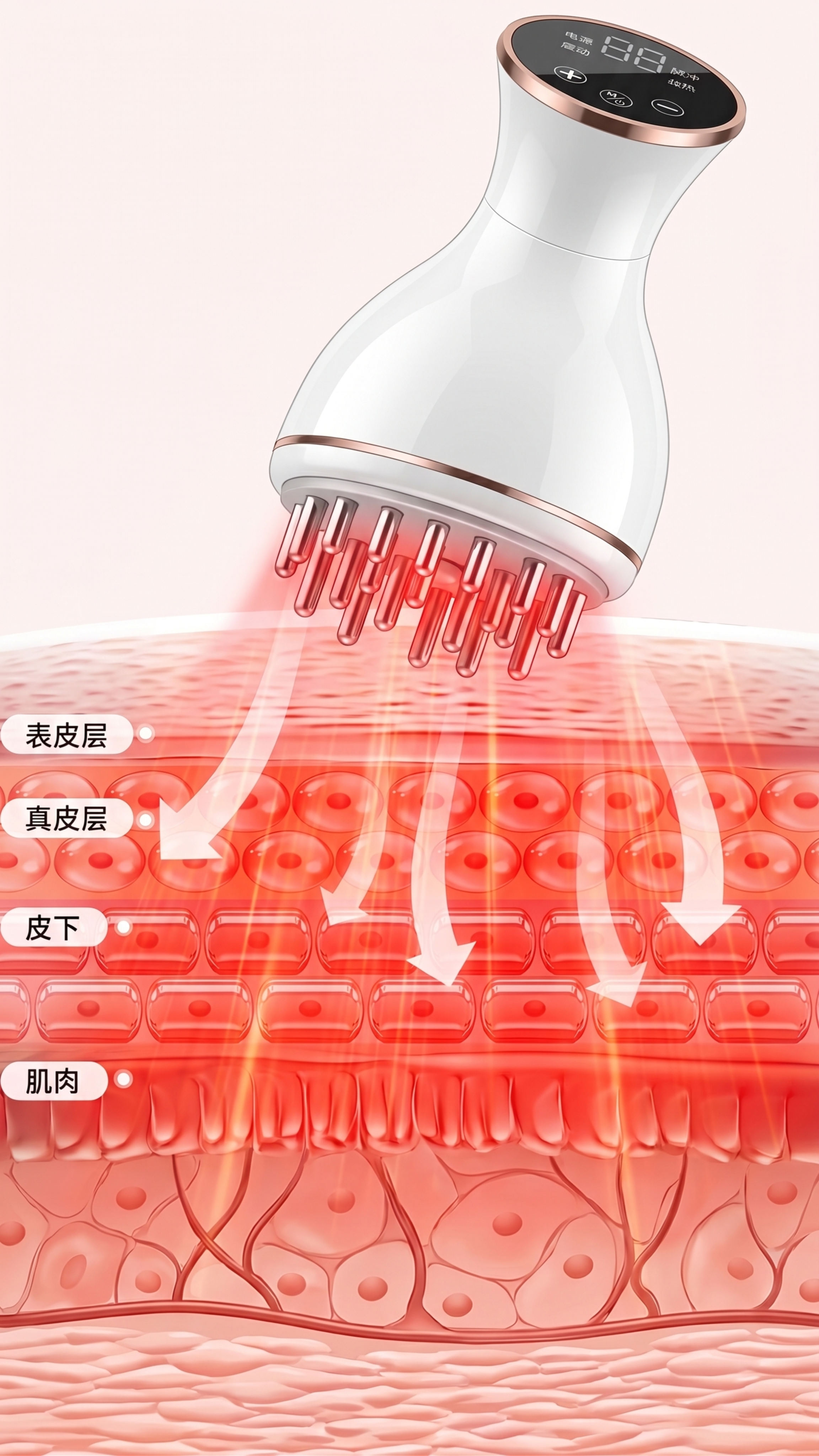参考图一的透红色光线穿透皮肤层次效果图风格，使用图二、图三、图… - 图片创意预览