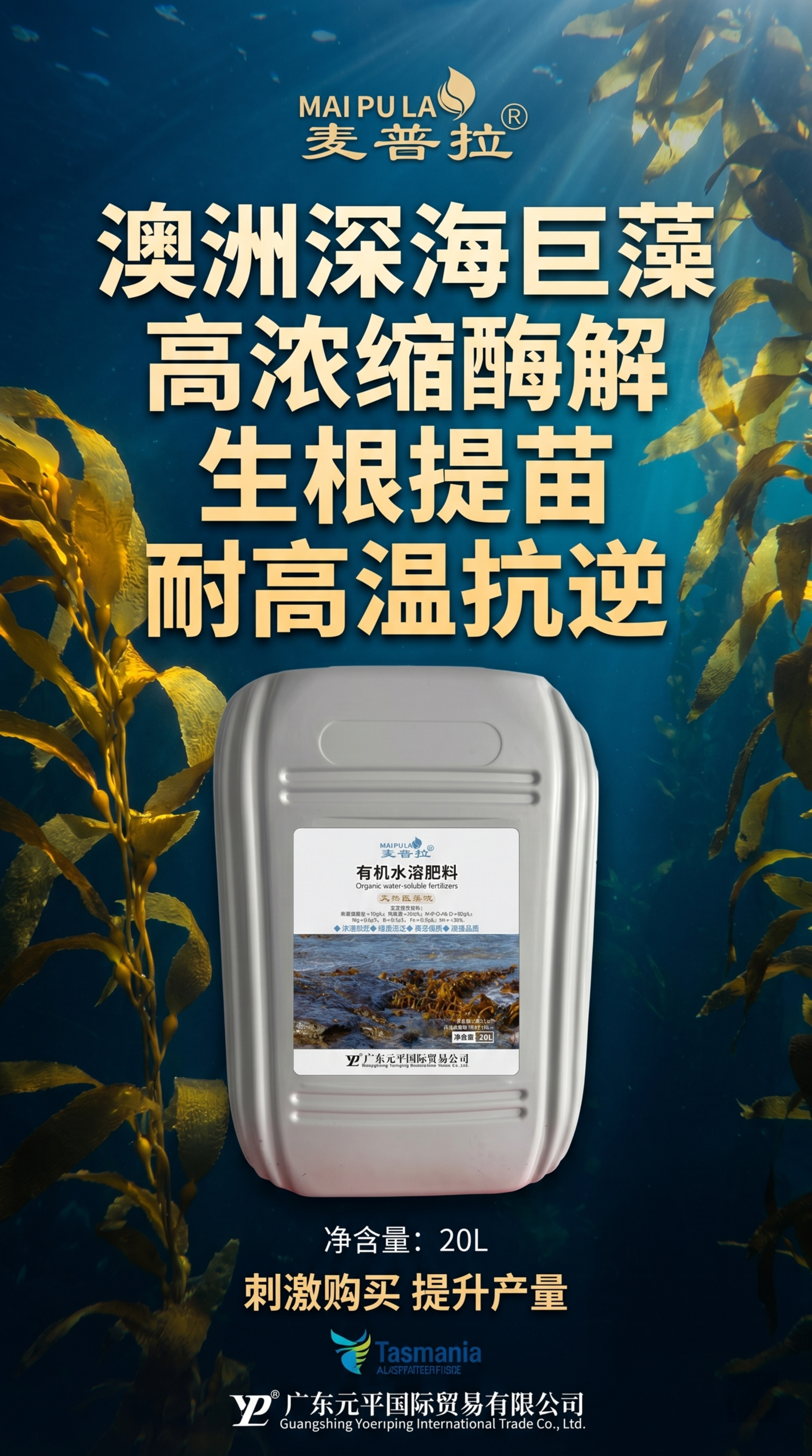 再次优化澳大利亚巨藻液产品推广海报，卖点展示更大气简约易读，采… - 图片创意预览