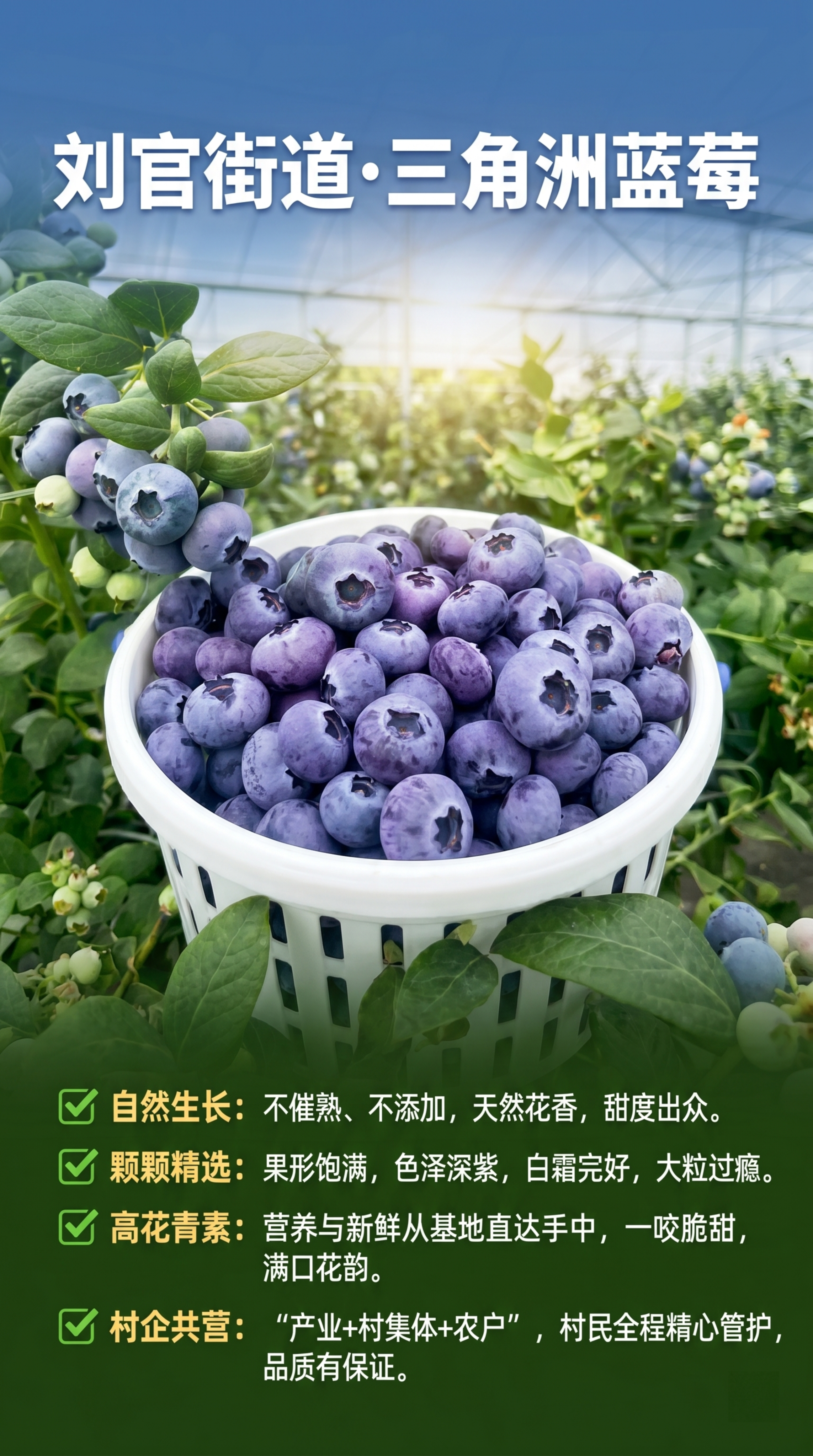水果宣传风格蓝莓海报，主图展示饱满新鲜的深紫色蓝莓果，保留原有… - 图片创意预览