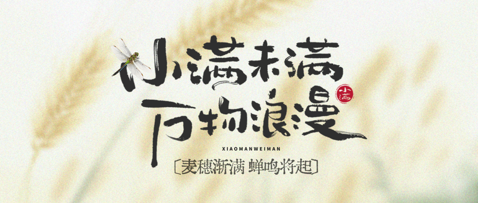 小满节气渐变弥散水稻插画公众号首图预览效果